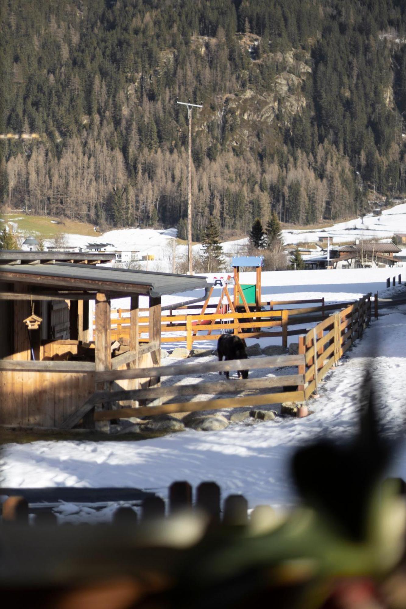 Ferienhaus Tirol Im Oetztal Umhausen Eksteriør billede